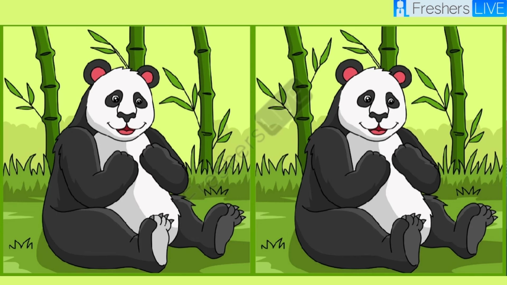 Only Extra Sharp Eyes can spot the 3 differences in the Panda image within 12 seconds