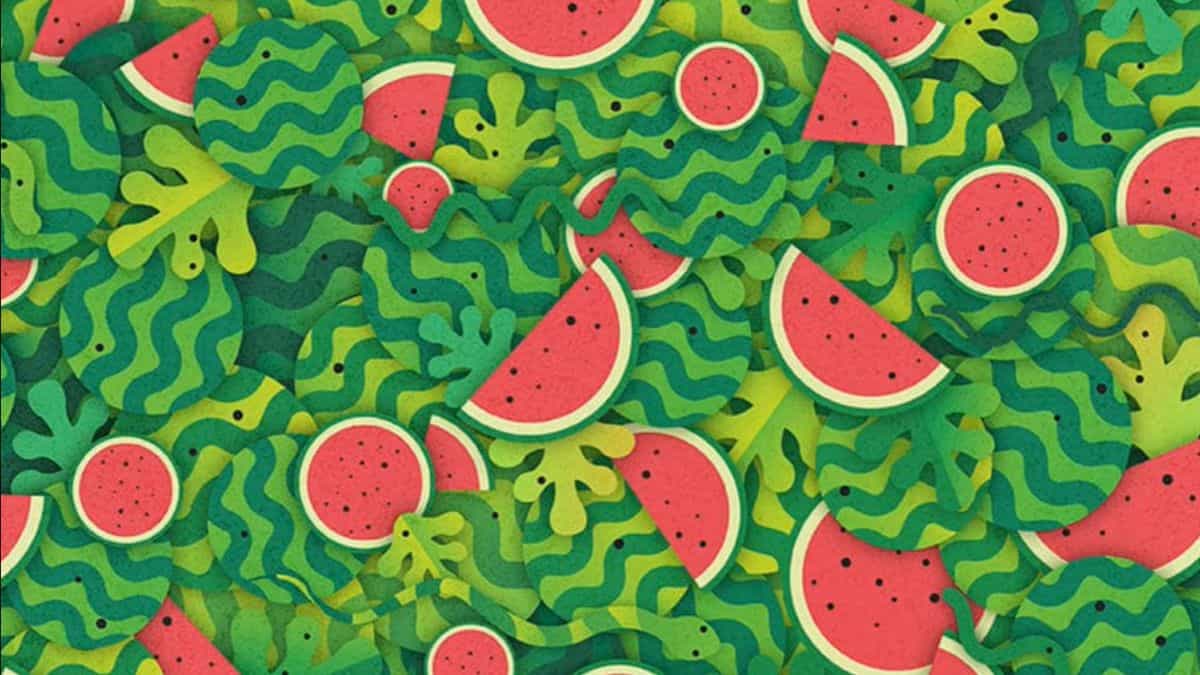 Find Snake in Watermelon Slices in 6 Seconds