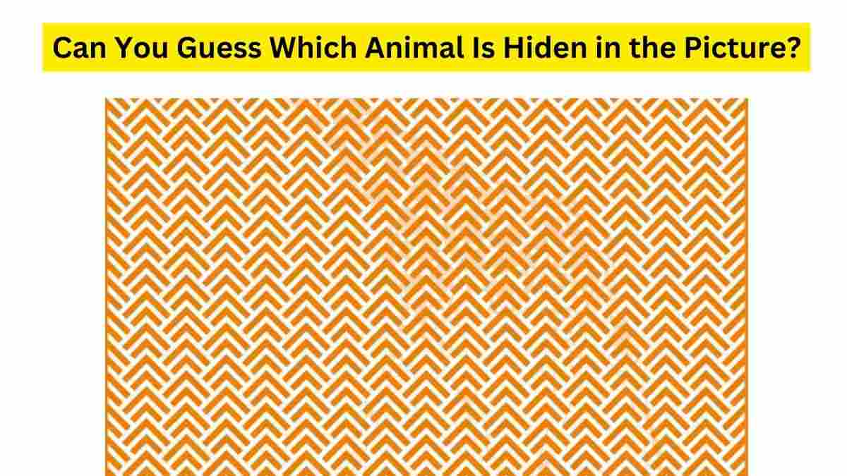Do You See An Animal Here?