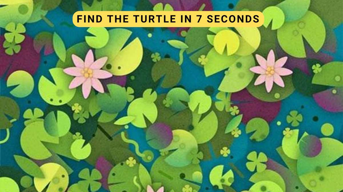 Optical Illusion Challenge- Find the hidden turtle in 7 seconds!