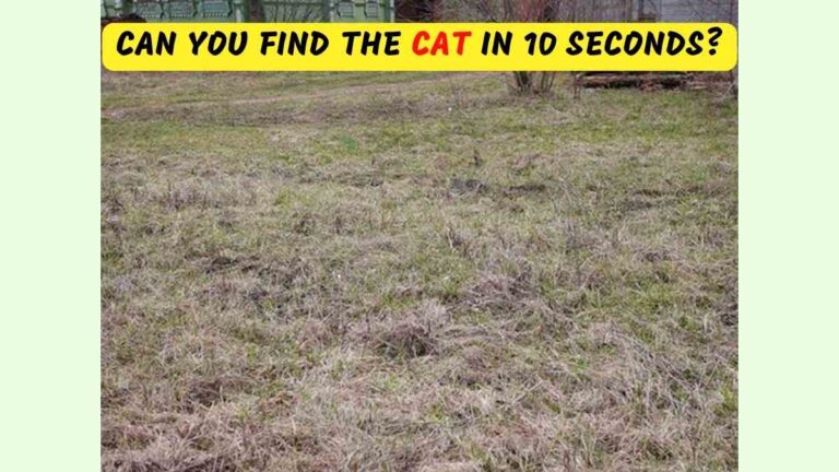 Optical Illusion for IQ Test: Can You Find The Hidden Cat On the Farm in 10 Seconds?