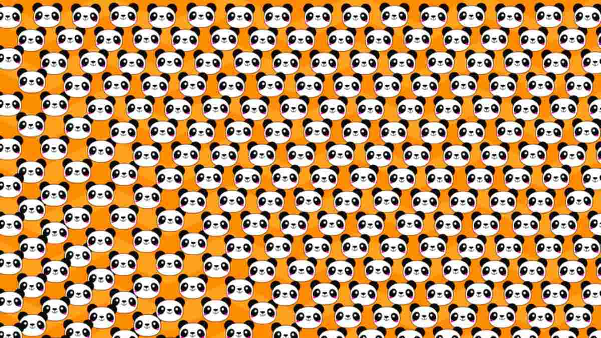 Can you spot a Sad Panda hidden inside Group in picture within 10 Secs?