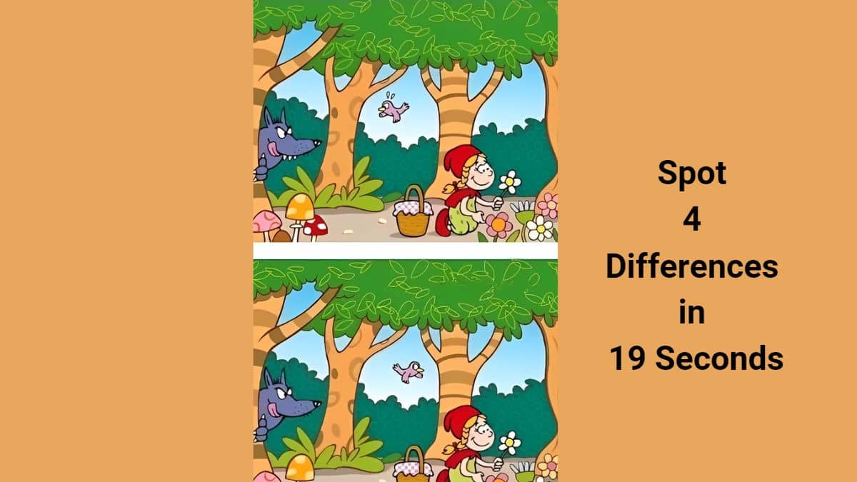 Spot 4 Differences in 19 Seconds