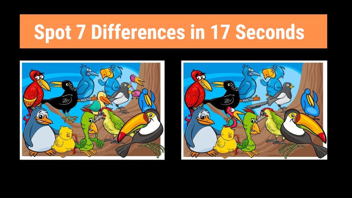 Spot 7 Differences in 17 Seconds