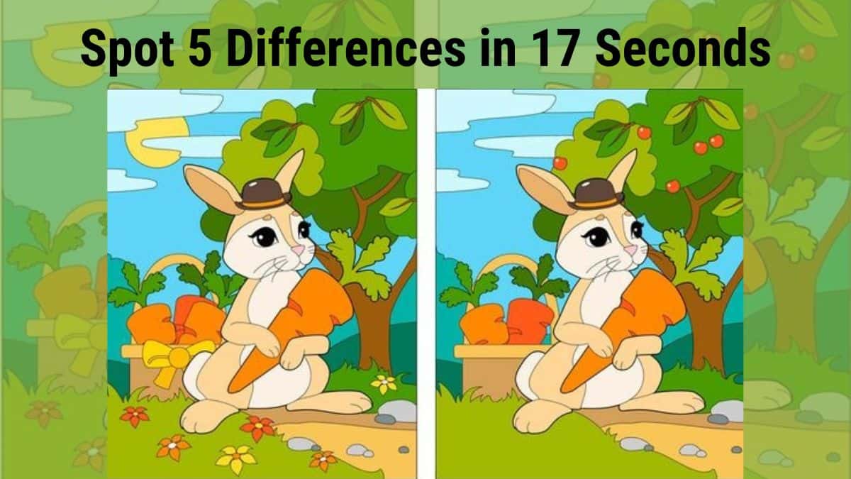 Spot 5 Differences in 17 Seconds