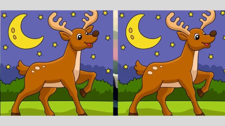 Spot the difference: Only a genius can find the 3 differences in less than 20 seconds!