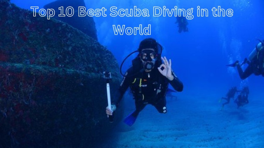 Top 10 Best Scuba Diving in the World