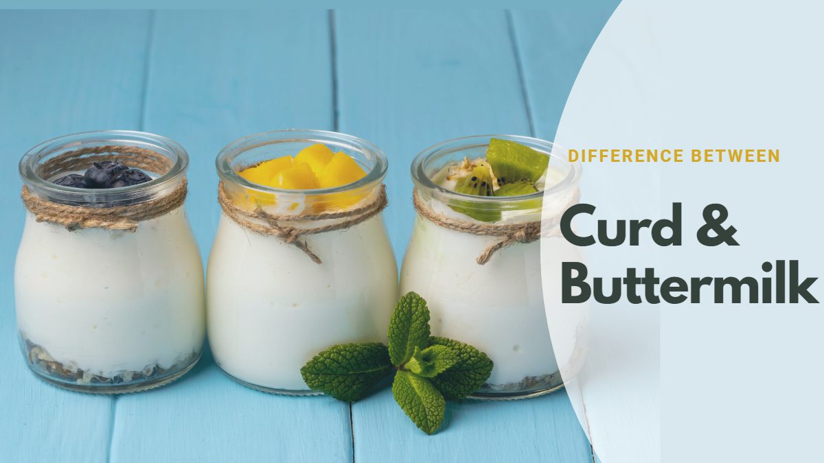 What Is The Difference Between Curd And Buttermilk?