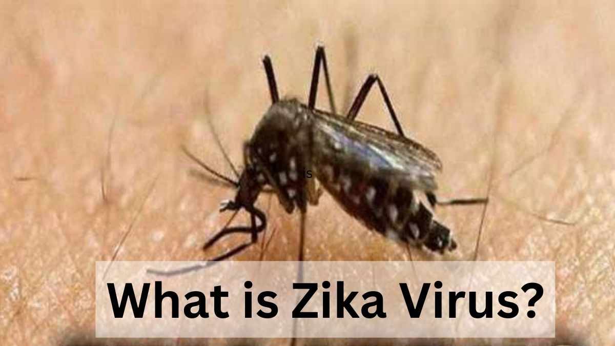 What is Zika Virus?