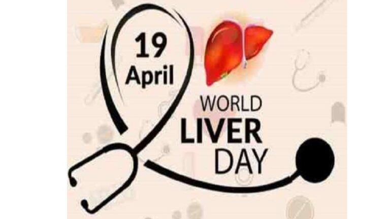 World Liver Day 2023: Excessive Drinking May Lead To Severe Liver Damage - Take Curative Measures Now!