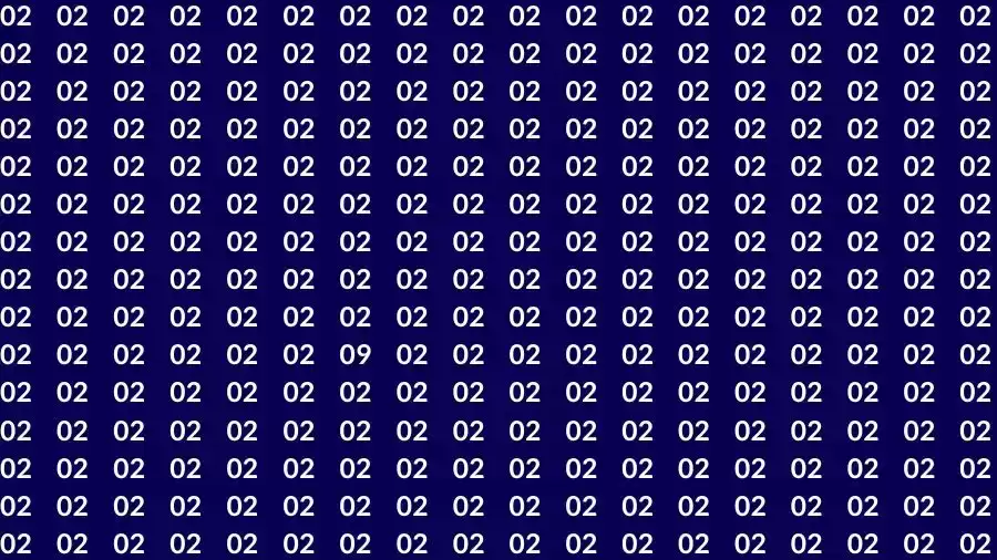 Observation Skills Test: If you have Sharp Eyes Find the number 09 among 02 in 8 Seconds?