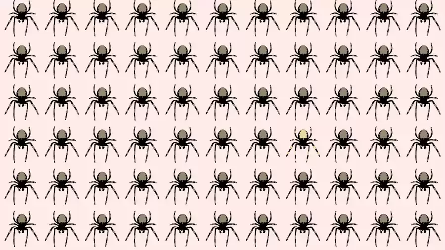 Observation Skills Test: Can you find the Odd Spider in 10 Seconds?