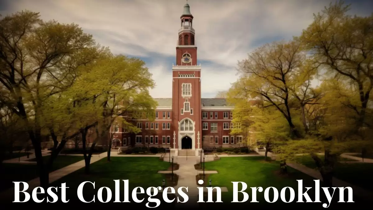Best Colleges in Brooklyn - Top 10 Holistic Institutions