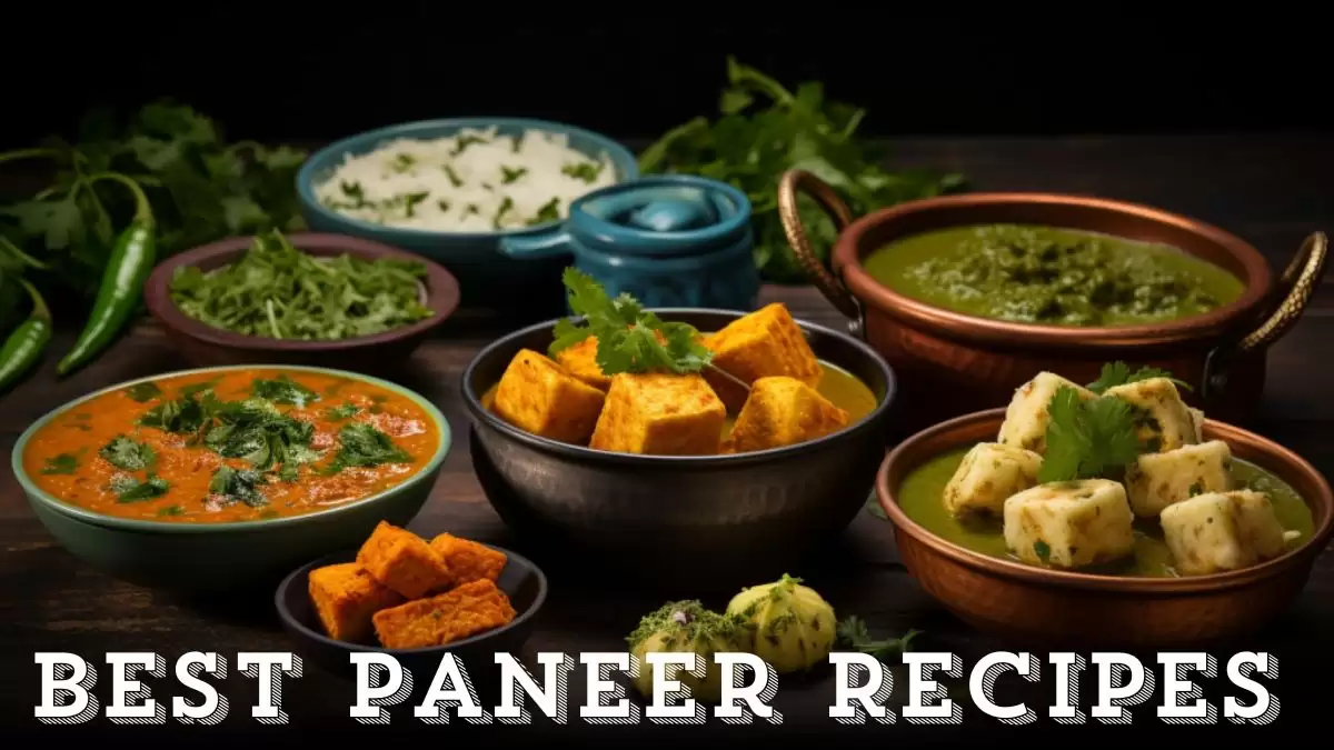 Best Paneer Recipes - Top 10 Delectable Dishes