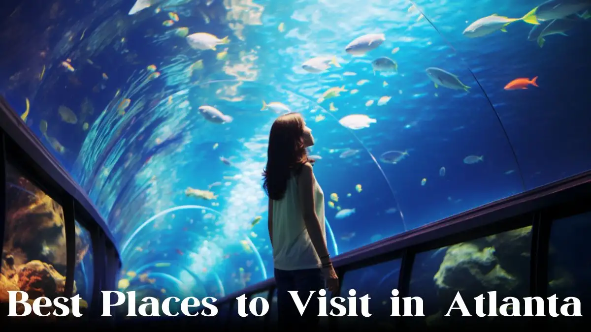 Best Places to Visit in Atlanta - Top 10 Captivating Attractions