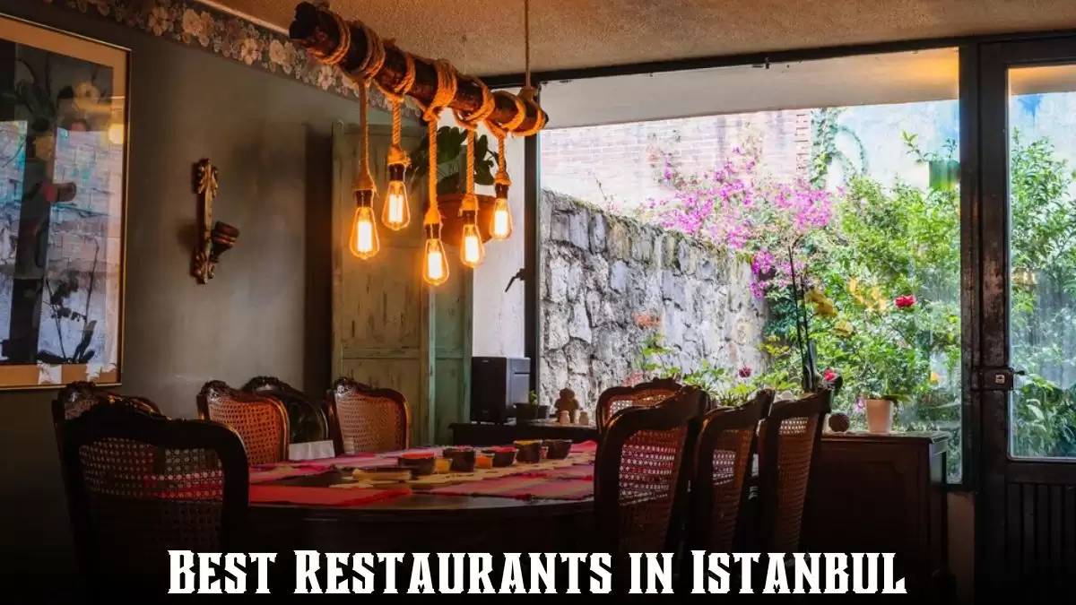 Best Restaurants in Istanbul - Top 10 Dining Excellence in Turkey