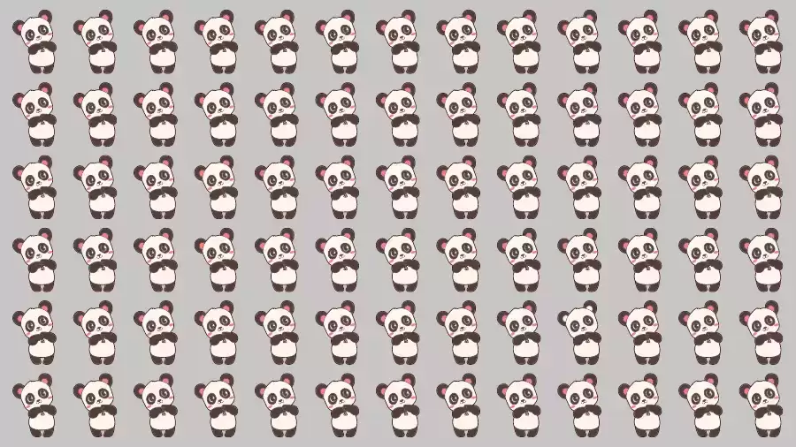 Optical Illusion Challenge: If you have Eagle Eyes find the Odd Panda in 15 Seconds