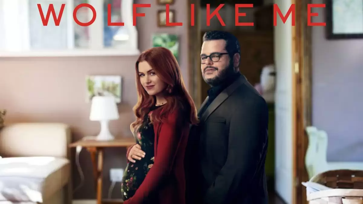 Wolf Like Me Season 2 Ending Explained, Release Date, Cast, Plot, Review, Where to Watch and More