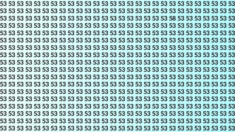 Observation Brain Test: If you have Hawk Eyes Find the Number 58 among 53 in 15 Secs