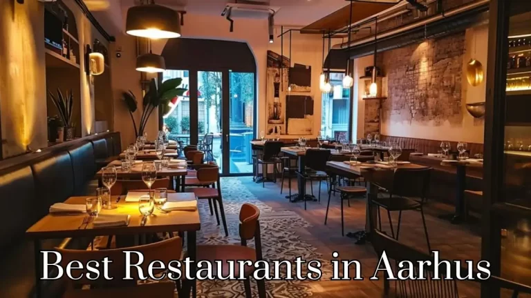 Best Restaurants in Aarhus - Top 10 Culinary Excellence Meets Local Flavor