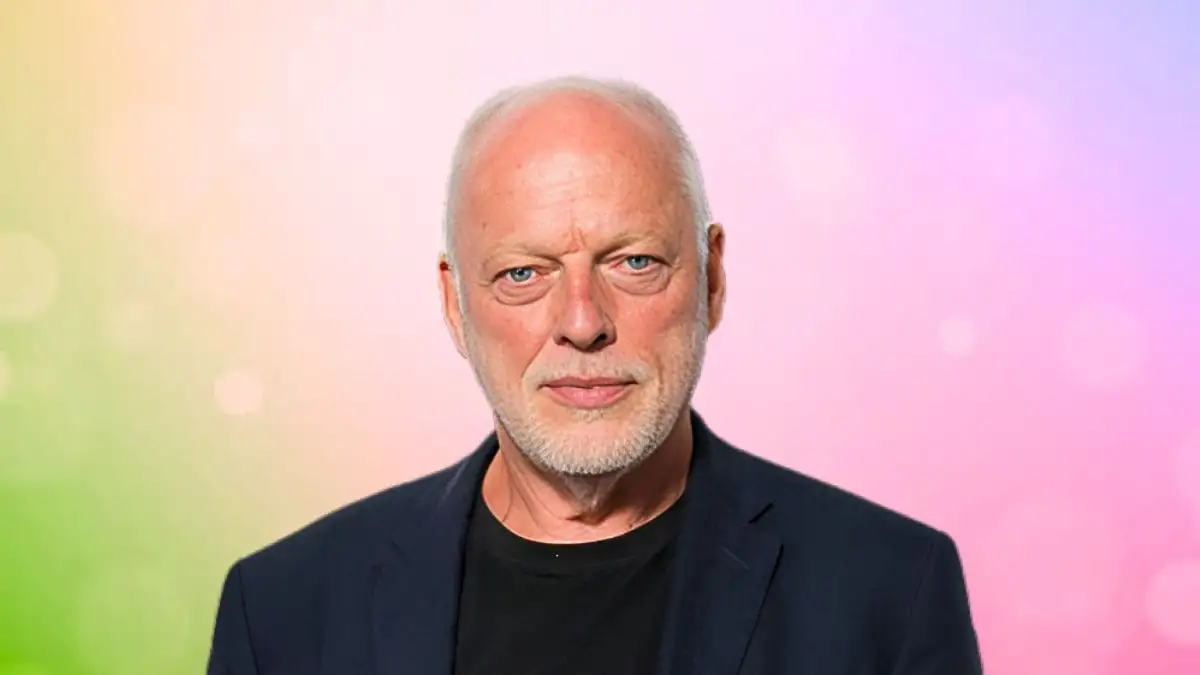 David Gilmour New Album 2024, Who is David Gilmour?