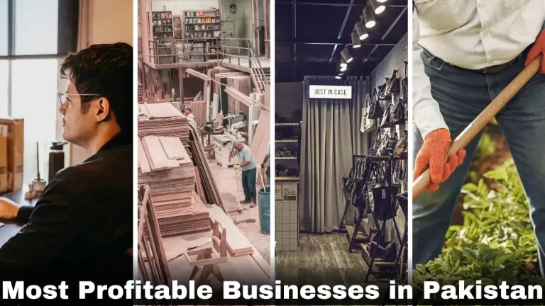 Most Profitable Businesses in Pakistan - Top 10 Lucrative Career Opportunities