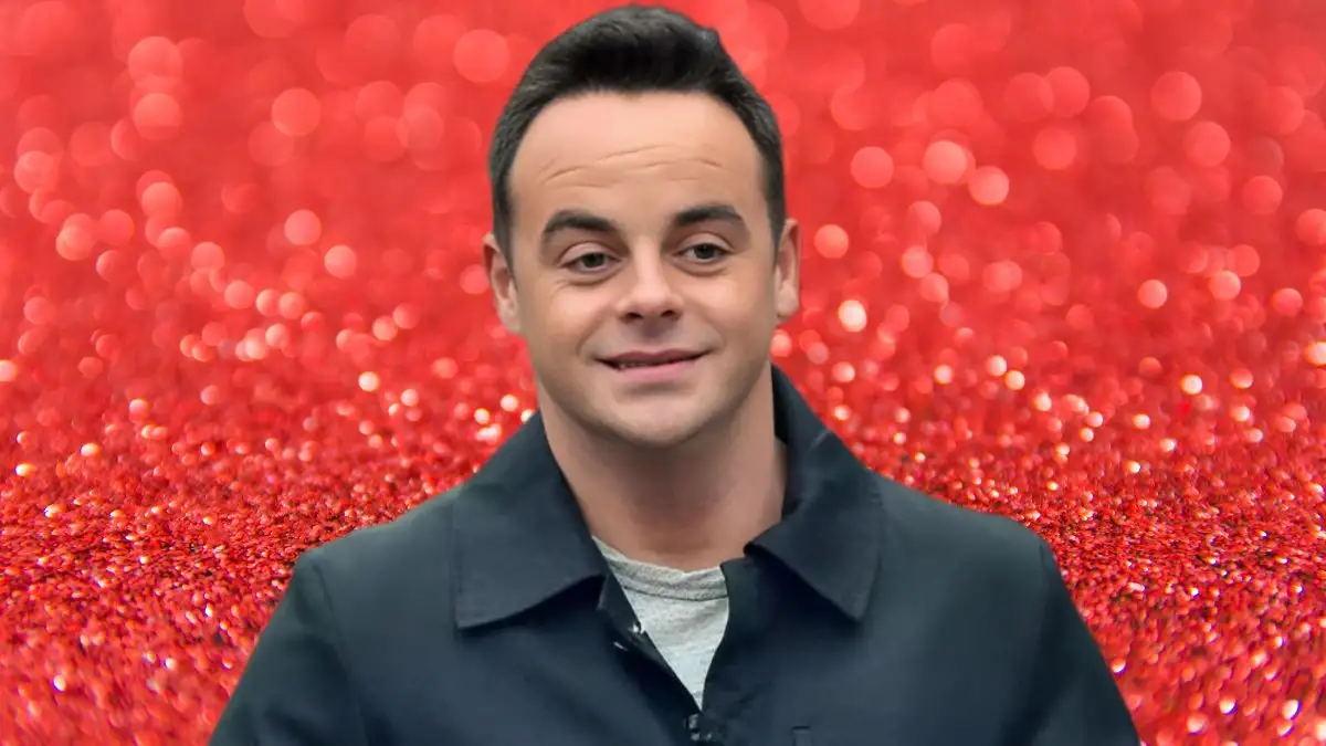 Who is Ant Mcpartlin