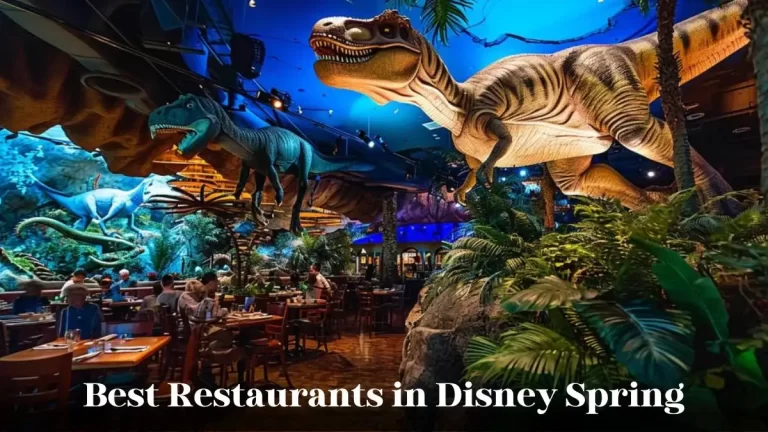 Best Restaurants In Disney Springs - Top 10 Culinary Delights