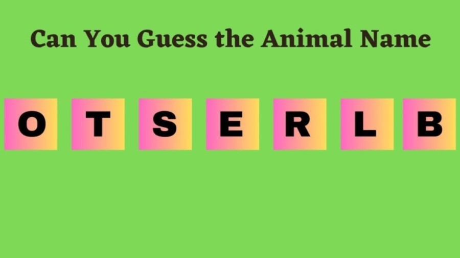 Brain Teaser Scrambled Word Puzzle: Can you Guess the 7 Letter Animal in 12 Seconds?
