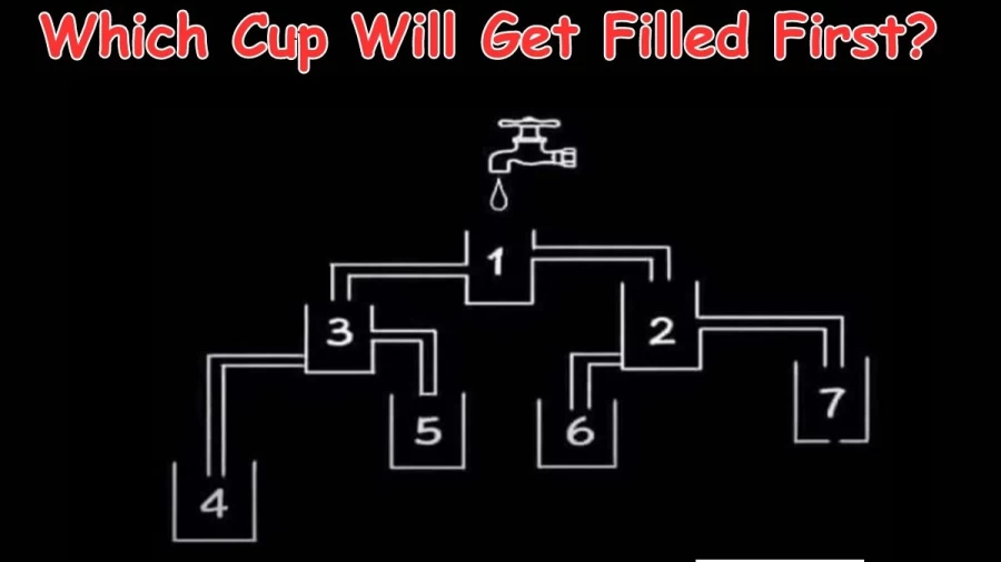 Brain Teaser: Which Cup Will Get Filled First? Logic Puzzle
