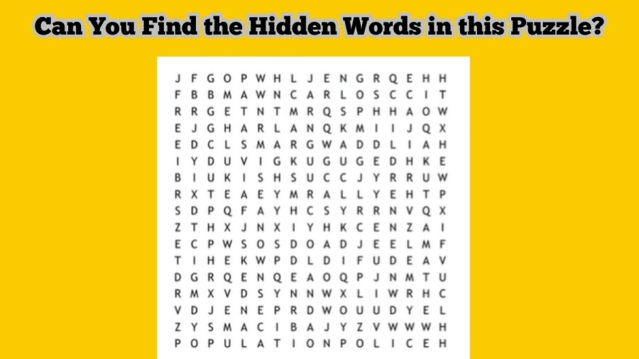 Observation Brain Test: Can You Find the Hidden Words in this Puzzle? FREE, SEAN, SHADOW