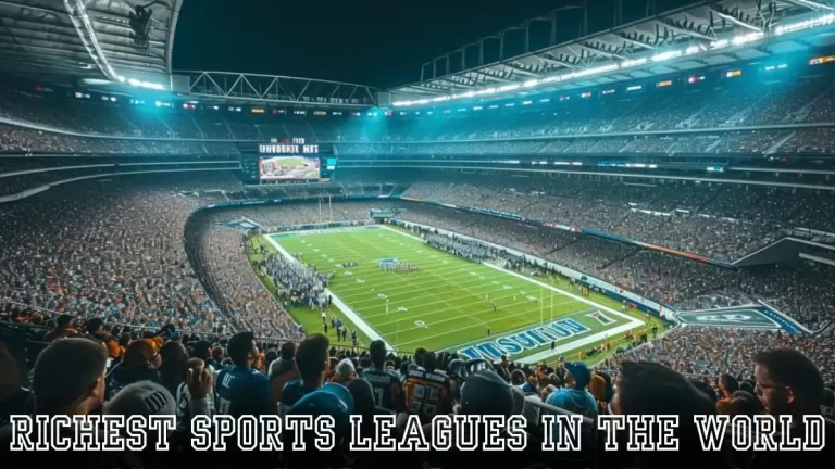 Richest Sports Leagues in the World - Top 10 Fanatical Following