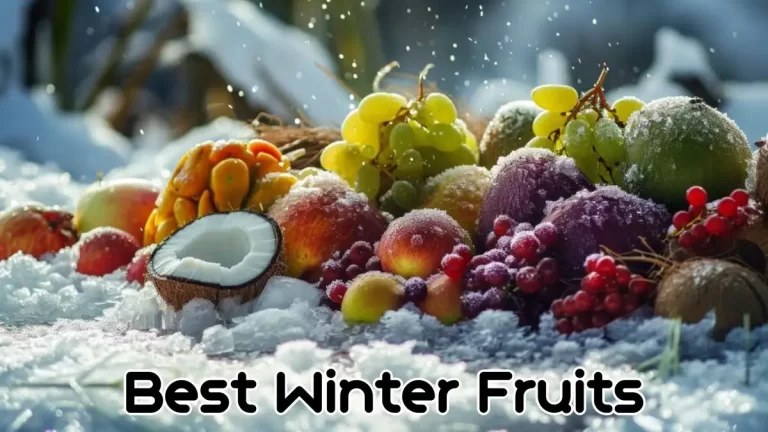 Top 10 Best Winter Fruits for a Seasonal Wellness Boost