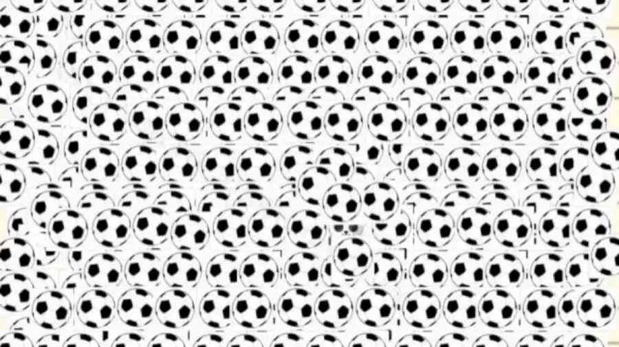 Can You Spot the Hidden Panda Among the Balls? Explanation and Solution to the Optical Illusion