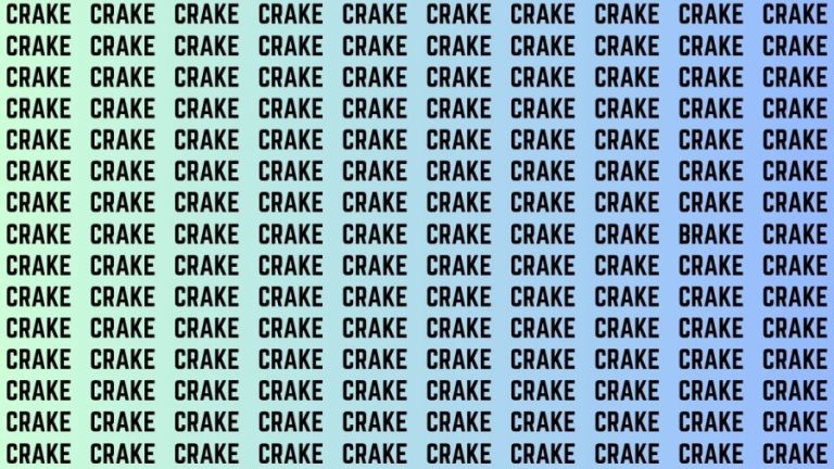 Brain Teaser: If you have Hawk Eyes Find the Word Brake among Crake in 15 Secs