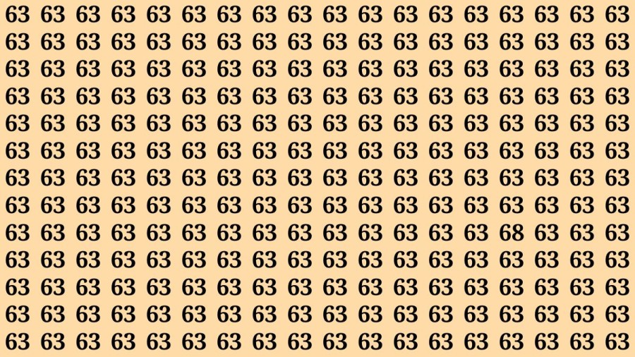 Observation Skills Test : If you have Keen Eyes Find the Number 68 among 63 in 15 Secs