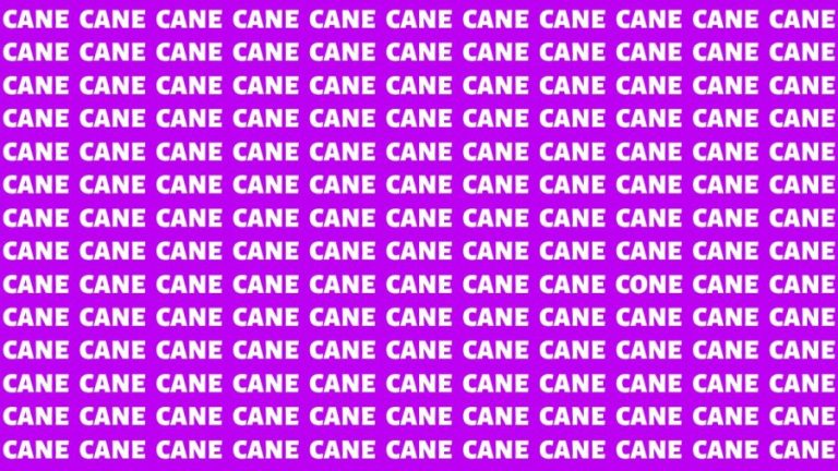 Brain Teaser: If you have Hawk Eyes Find the Word Cone among Cane in 15 Secs
