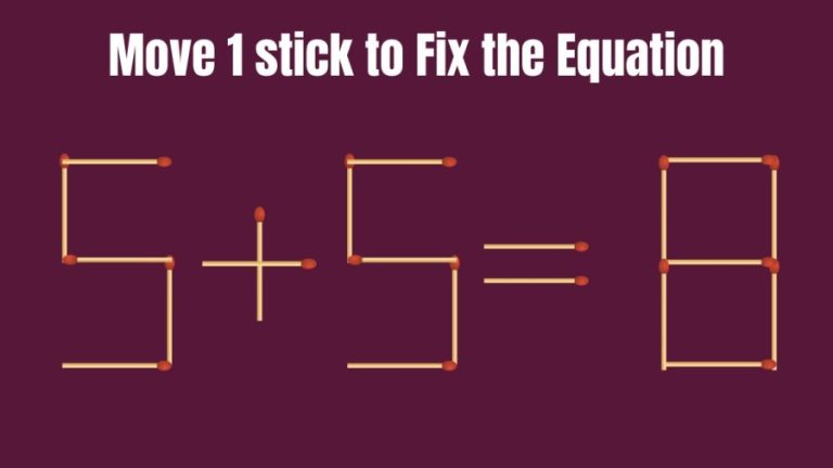 5+5=8 Move 1 Stick and Correct this Equation in 20 Secs II Brain Teaser