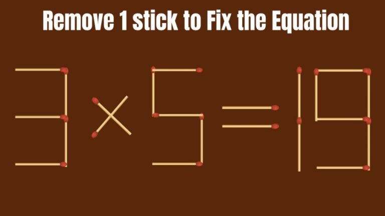 Brain Teaser: Can you Remove 1 Stick and Fix this Equation?