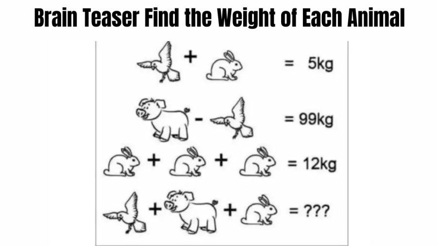 Brain Teaser: Solve and Find the Weight of Each Animal