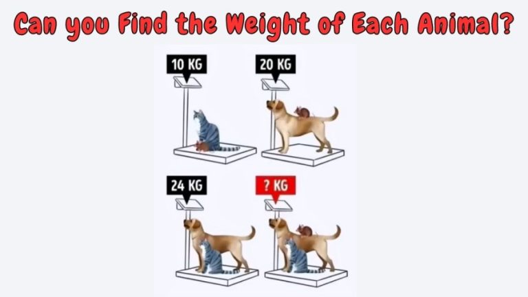 Brain Teaser for Sharp Minds: Can you Find the Weight of Each Animal?