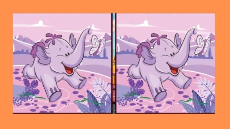 Spot the difference Game: Can you Spot 3 Differences in these Pictures within 25 Seconds?