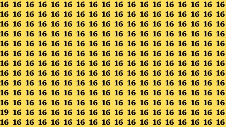 Find and Seek: If you have Hawk Eyes Find the Number 19 among 16 in 20 Secs