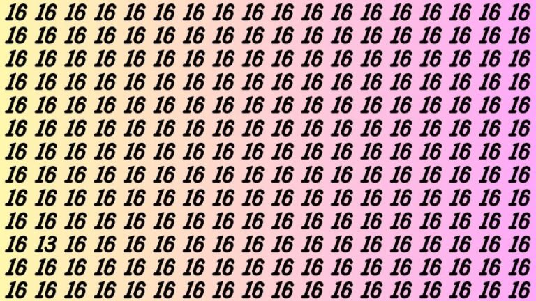 Optical Illusion: If you have Keen Eyes Find the Number 13 among 16 in 15 Secs