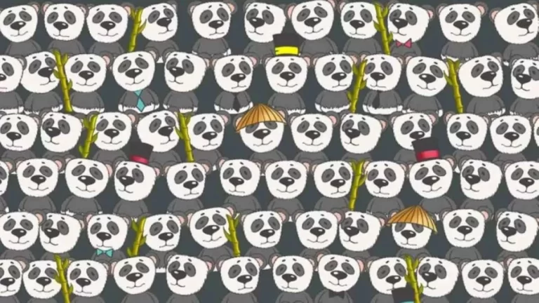 Observation Skills Test: You Need to find hidden Polar Bear among the Pandas in 16 Secs?