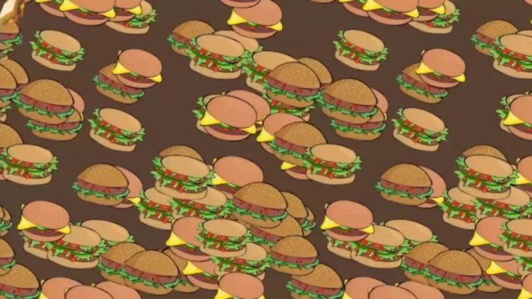 Optical Illusion Visual Test:Can You Find The Sandwich Among These Burgers Within 8 Seconds?