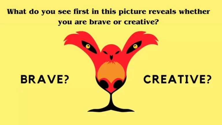 Optical Illusion Personality Test: What do you see first in this picture reveals whether you are brave or creative?