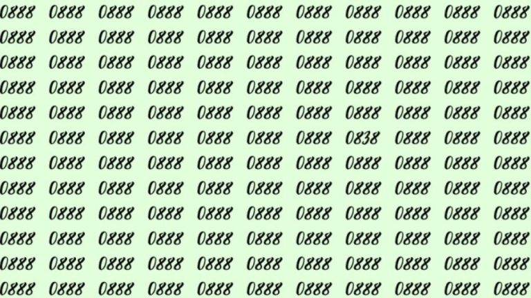 Can You Spot 0838 among 0888 in 20 Seconds? Explanation And Solution To The Optical Illusion
