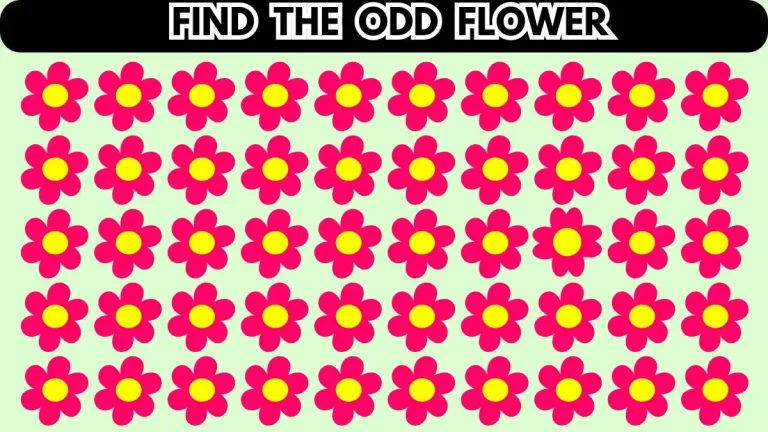 Brain Teaser Challenge: Try to Find the Odd Flower in 10 Seconds