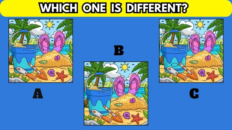 Brain Teaser: Which One is Different? Find in 10 Secs